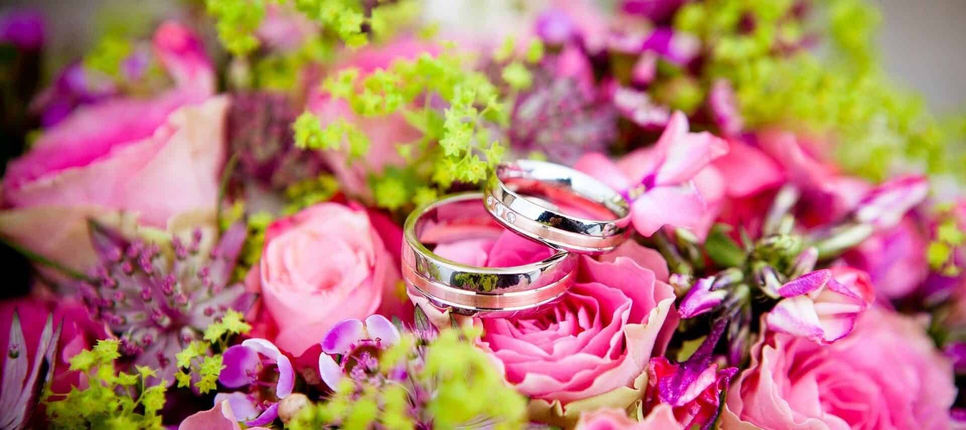 Two silver weddings bands sitting atop a bouquet of bright pink roses with tiny greens